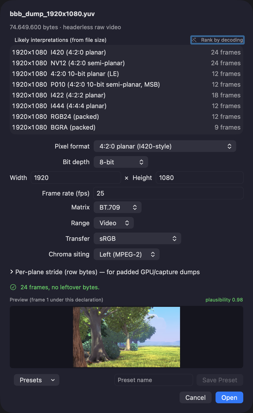 Videre's parameter sheet for a headerless raw file: pixel format, dimensions, strides, the size-guesser candidate list, and the live decode preview with its plausibility badge.