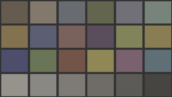 ColorChecker chart test pattern rendered by Videre's signal generator.