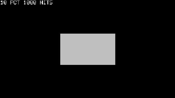 Luminance window test pattern rendered by Videre's signal generator.