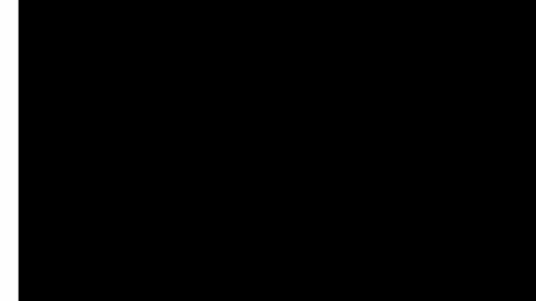 Motion test pattern rendered by Videre's signal generator.