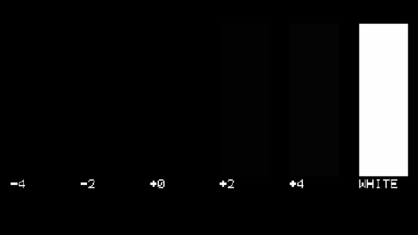 PLUGE test pattern rendered by Videre's signal generator.