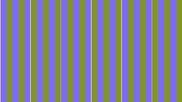 Chroma-siting probe test pattern rendered by Videre's signal generator.