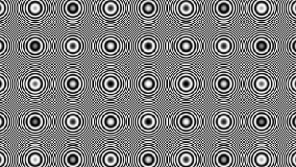 Zone plate test pattern rendered by Videre's signal generator.