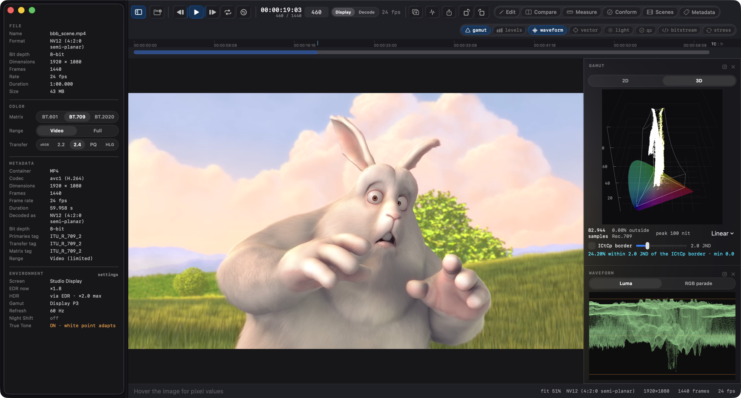 Videre's main window: color-managed viewer, interpretation side panel, 3D gamut cloud and waveform scopes.